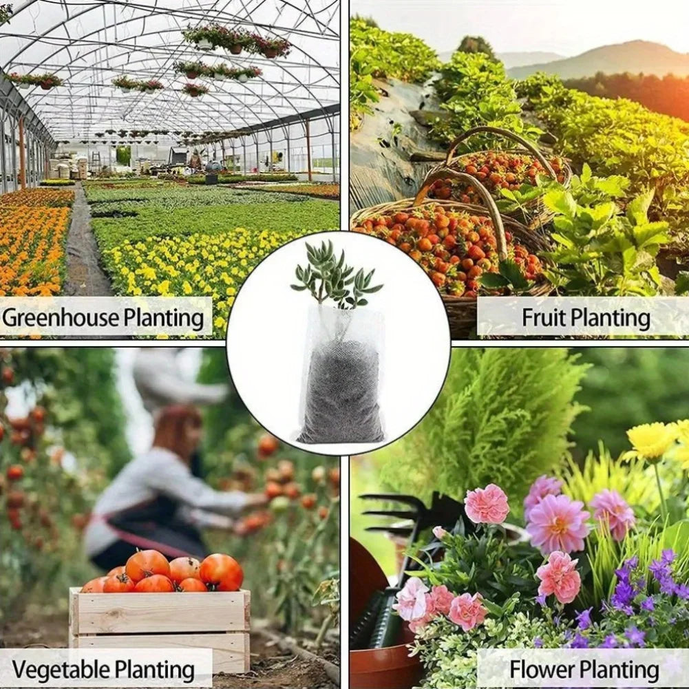 EcoKweek™ | Duurzaam starten met elke plant