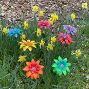 ColorBloom™ Set van 7 | Het hele jaar een vrolijke tuin