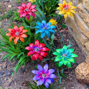 ColorBloom™ Set van 7 | Het hele jaar een vrolijke tuin