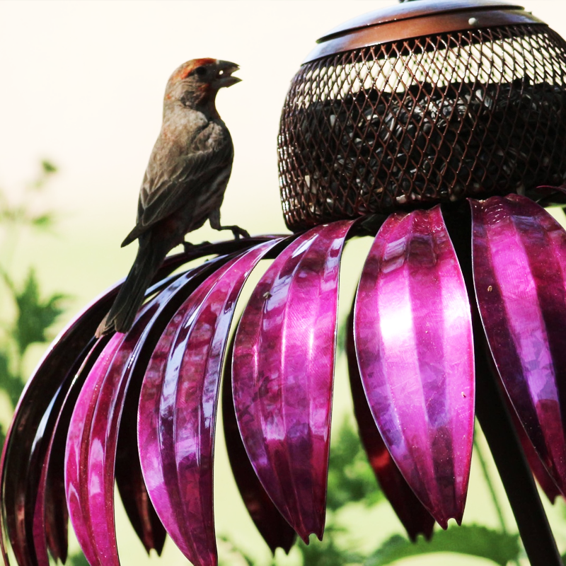 BloomFeeder™ | De Bloem Die Schattige Vogels Naar Je Tuin Lokt