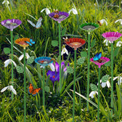 NectarOase™ | Charmante waterplek voor bijen en vlinders