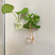 FridgeFlora™ | 8 Bloemetjes die blijven hangen