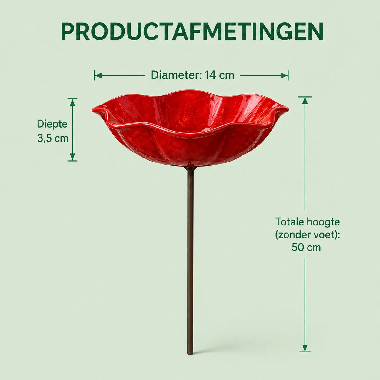 BloomOase™ | Maak je tuin aantrekkelijk voor vogels