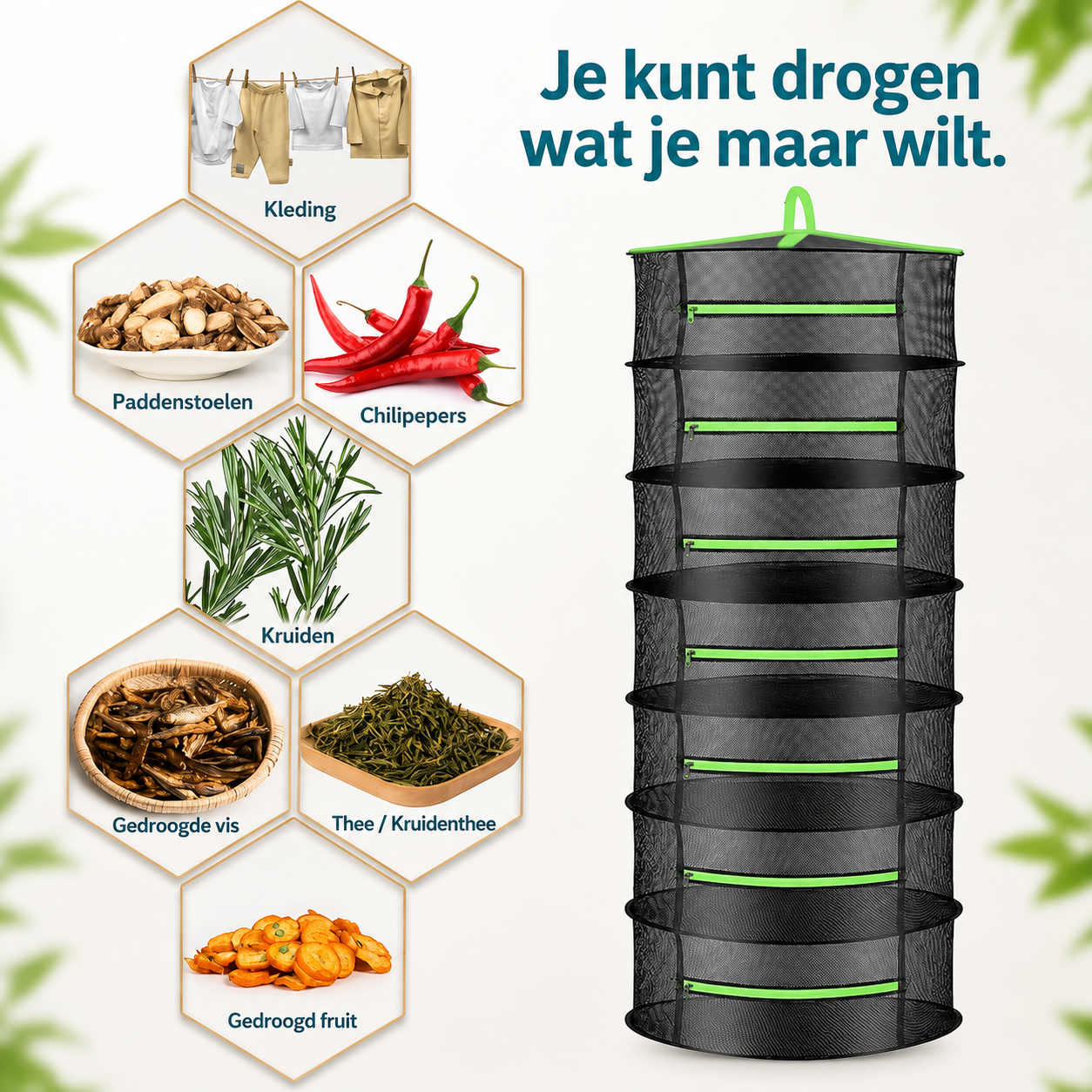ChatGPT_Image_May_22_2026_08_32_47_PM_1.png
