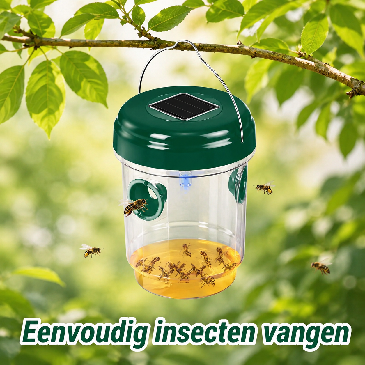 ChatGPT_Image_May_27_2026_10_52_28_AM_2.png