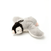 PounceBird™ | Het Interactieve Jachtspeeltje Dat Elke Kat Meteen Achtervolgt