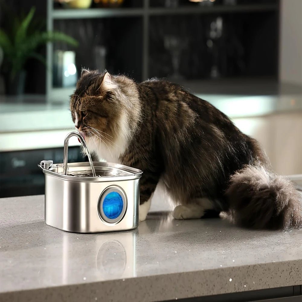 FreshAqua™ | De slimme fontein die je kat laat drinken - Lumiza