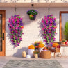 GloryTrail™ | UV - bestendige Bloemenpracht Zonder Onderhoud - Lumiza