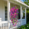GloryTrail™ | UV - bestendige Bloemenpracht Zonder Onderhoud - Lumiza