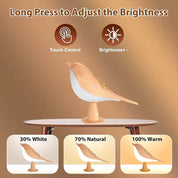 GlowBird™ | 3 Kleuren, Dimbaar Licht met Aanraakschakelaar - Perfect voor Jouw Nachtkastje! - Lumiza