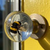 HandleMe™ | Waar stijl de deur opent - Lumiza