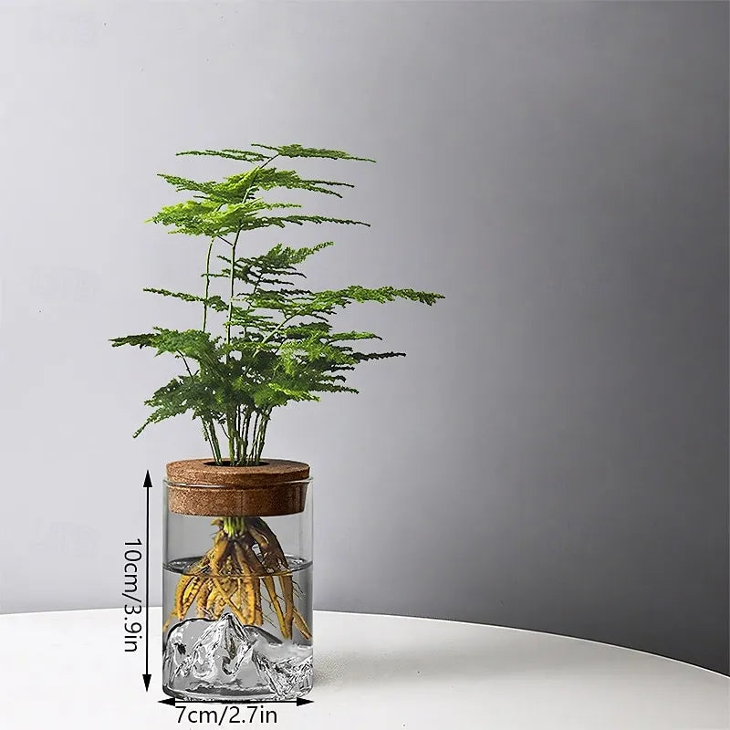RootBloom™ | Zie je stekjes groeien zonder potgrond