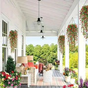 IvyShine™ | Blijvend groene UV - bestendige hangplanten - Lumiza