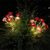 MysticBloom™ | Feeëriek Tuinlicht - Lumiza