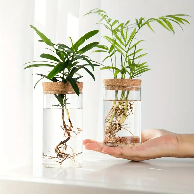 Twee RootBloom hydroponische glazen vaasjes voor plantenstekjes