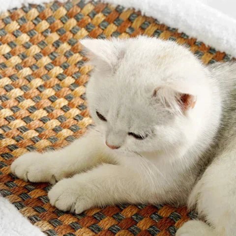 ScratchLounge™ | Comfortabel slapen, gezond krabben - Lumiza