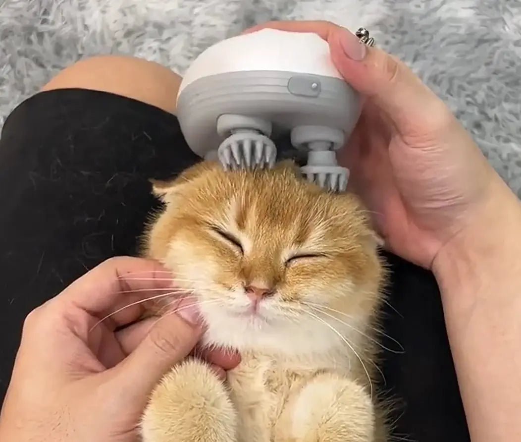 Spinkat™ | De massage die je kat laat spinnen - Lumiza