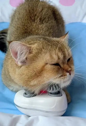 Spinkat™ | De massage die je kat laat spinnen - Lumiza