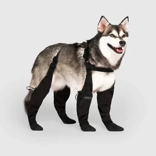 StepSafe™ | Schoenen die Meebewegen met je Hond - Lumiza