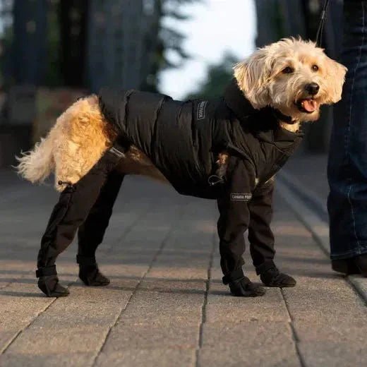 StepSafe™ | Schoenen die Meebewegen met je Hond - Lumiza
