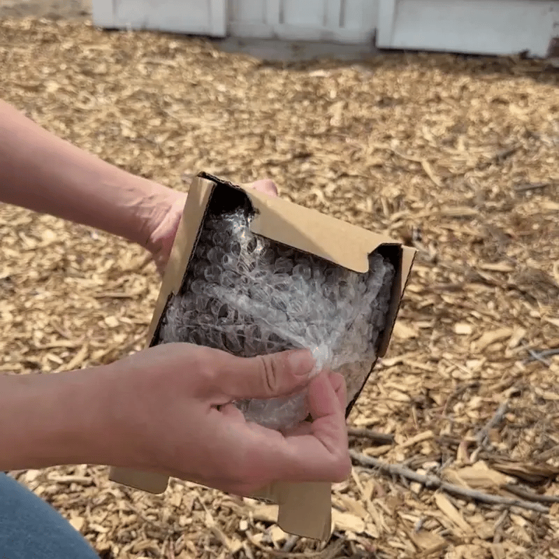 SunPearl™ | Stralende zonneparels voor je tuin - Lumiza