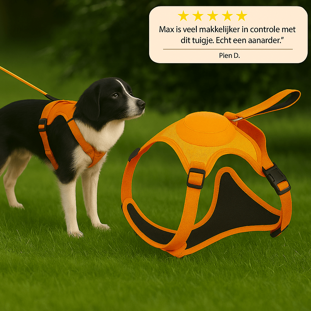 WalkMate™ | Wandel slimmer, wandel vrijer - Lumiza